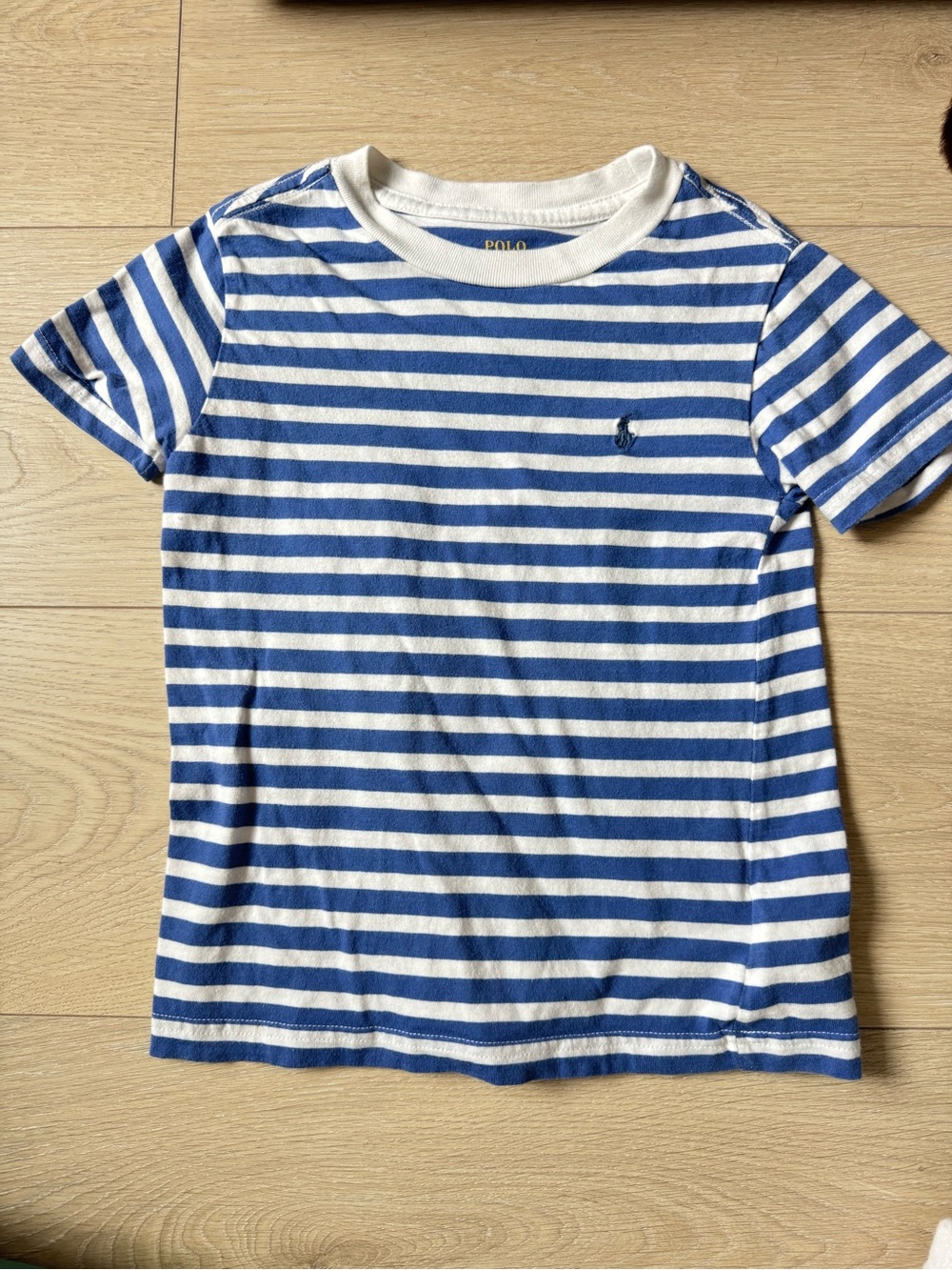 Polo by Ralph Lauren Blue & White Striped Crewneck Tee